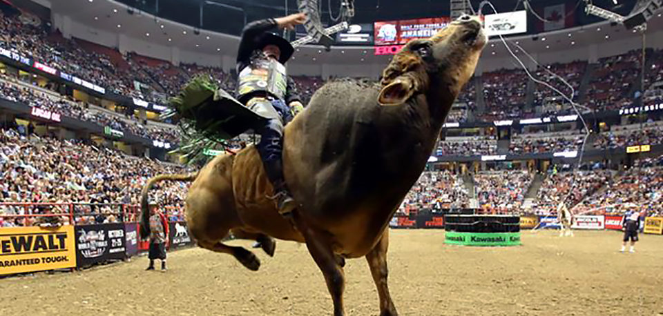 Market Outlook September 2018: Tumultuous Month Often Bucks Bulls Off Easy Ride