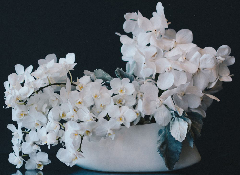 Market Outlook June 2019: May’s Selloffs Yield June Boons