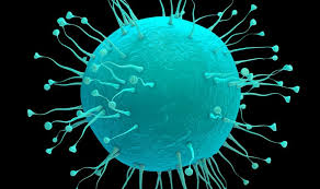 January Barometer: January Trifecta Spoiled by Coronavirus