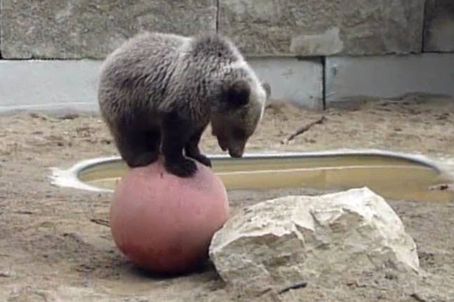 April 2020 Outlook: Beware the Bear Market Bounce