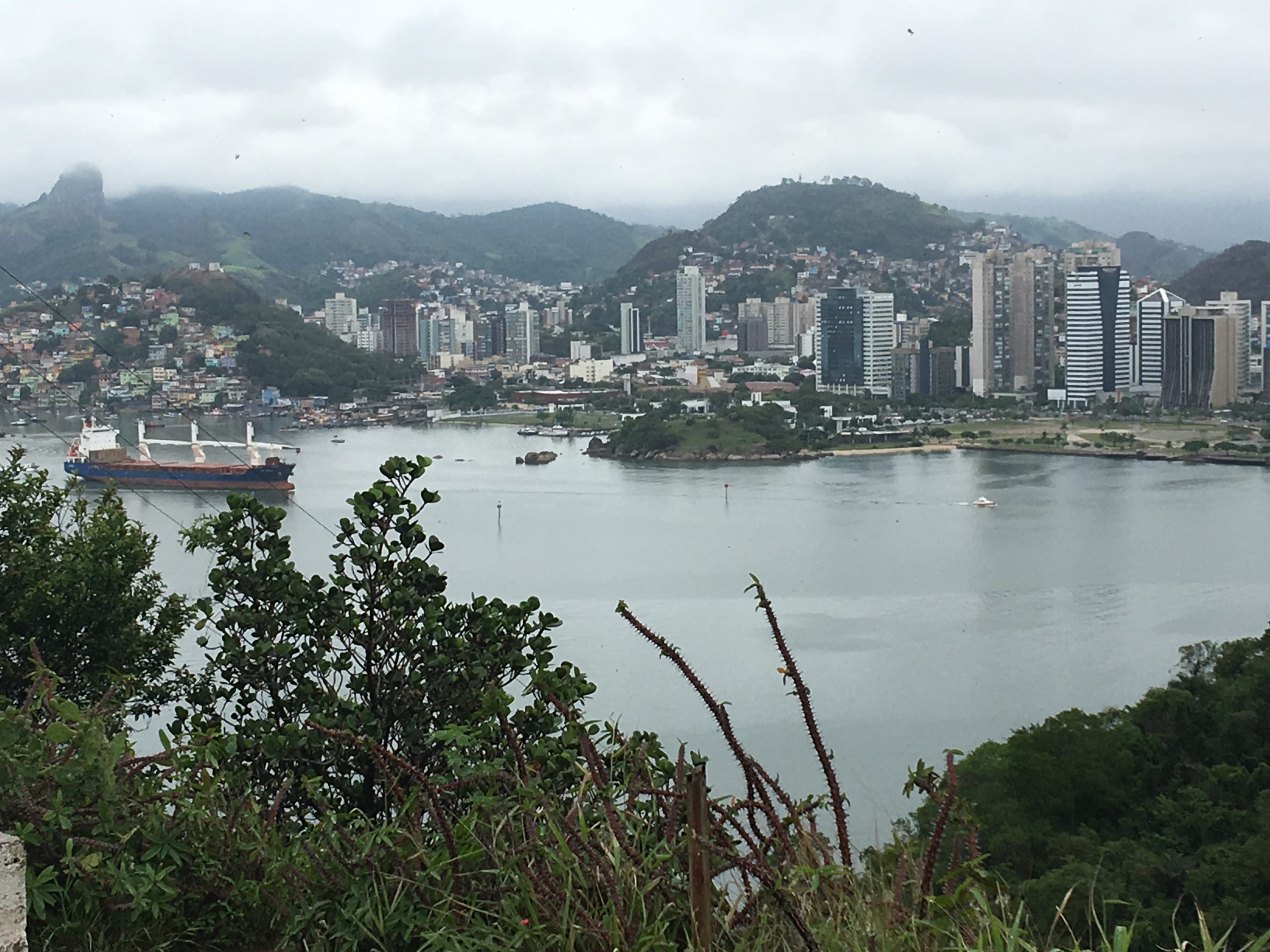 City View